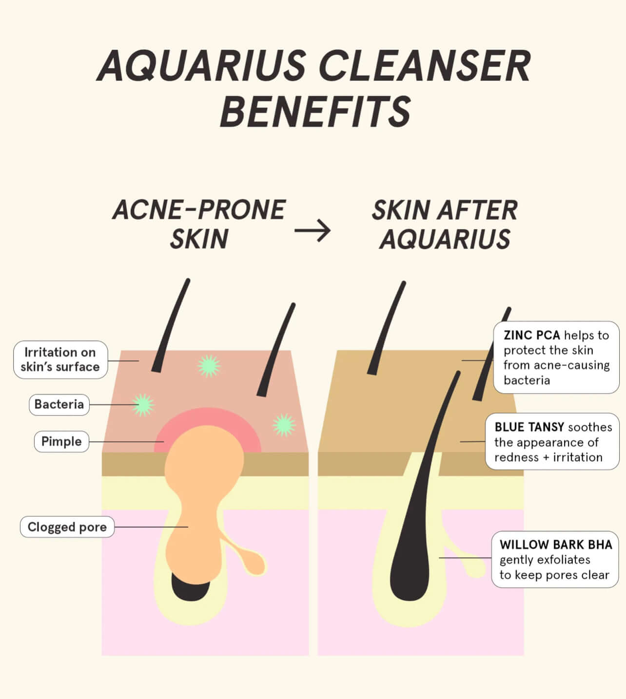 Aqua Clarity Cleanser - Zen Glow Beauty